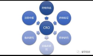 2022-2028年医药CRO行业市场调研及投资前景专项预测报告